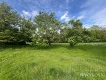 Prodej pozemku, Hřibojedy, 2371 m2