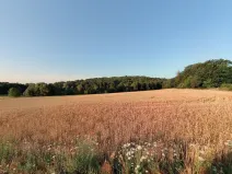 Prodej pole, Ostrava, 16924 m2