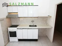 Pronájem bytu 1+1, Plzeň, K Pecím, 46 m2