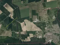 Prodej pole, Dubňany, 7012 m2