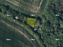 Prodej louky, Březolupy, 1729 m2