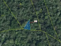 Dražba lesa, Podhořany u Ronova, 129 m2