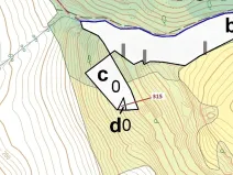 Dražba lesa, Podhořany u Ronova, 129 m2