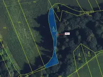 Dražba lesa, Spešov, 500 m2