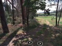 Dražba lesa, Chrášťany, 1726 m2