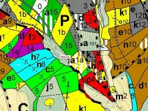 Dražba lesa, Jílové u Držkova, 3821 m2