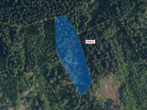 Dražba lesa, Velké Hamry, 5995 m2