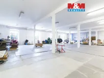 Pronájem skladu, Plzeň - Severní Předměstí, Karlovarská, 427 m2