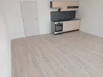 Pronájem bytu 1+kk, Svitavy, Říční, 37 m2