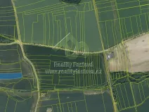 Prodej pole, Šťáhlavy, 27962 m2