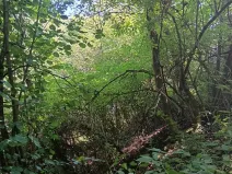 Prodej pozemku pro bydlení, Bojkovice, 819 m2