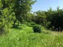 Prodej zahrady, Dalovice, 5231 m2