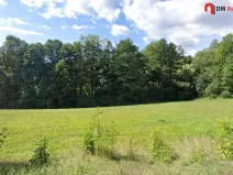 Prodej lesa, Zlatá Olešnice, 1248 m2