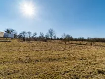 Prodej komerčního pozemku, Lípa, 2603 m2