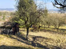 Prodej pozemku, Rudoltice, 2215 m2