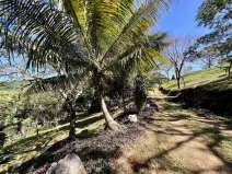 Prodej pozemku, Coxen Hole, Roatán, Honduras, 1872 m2