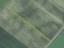 Prodej sadu/vinice, Terezín, 5465 m2