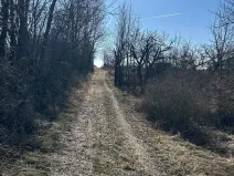 Prodej zahrady, Hustopeče, 4050 m2