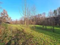 Prodej louky, Vilémov, 7357 m2