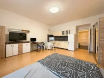 Prodej bytu 1+kk, Praha - Žižkov, Jičínská, 38 m2