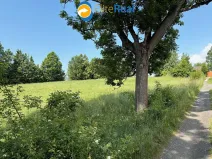 Prodej pozemku pro bydlení, Razová, 7007 m2