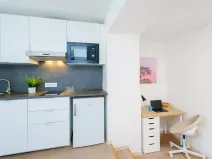 Prodej bytu 1+kk, Praha - Krč, Čerčanská, 18 m2