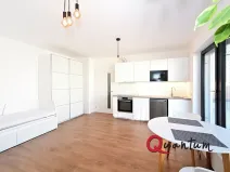 Pronájem bytu 1+kk, Praha - Letňany, Vyletalova, 31 m2