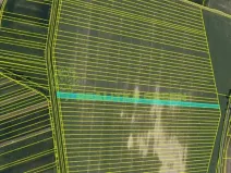 Prodej pole, Svatobořice-Mistřín, Hlavní, 8725 m2