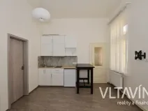 Pronájem bytu 1+kk, Praha - Vinohrady, Mánesova, 30 m2