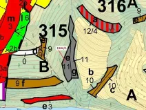 Dražba lesa, Hovězí, 2626 m2