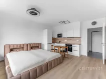 Pronájem bytu 1+kk, Praha - Žižkov, Olgy Havlové, 32 m2