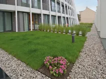 Pronájem bytu 1+kk, Praha, 65 m2