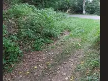 Prodej lesa, Červená Řečice, 136 m2