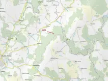 Dražba lesa, Vilice, 2384 m2