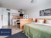 Pronájem bytu 1+kk, Praha - Žižkov, Olšanská, 35 m2