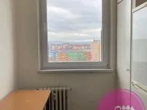 Pronájem bytu 1+1, Olomouc, Zikova, 30 m2