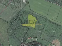 Prodej lesa, Malé Žernoseky, 7464 m2