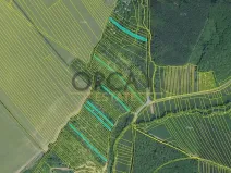 Prodej pole, Březolupy, 17736 m2