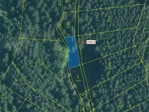 Dražba lesa, Hosty, 418 m2