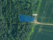 Dražba lesa, Hosty, 978 m2