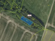 Dražba lesa, Čestín, 356 m2