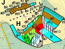 Dražba lesa, Píšť, 1321 m2
