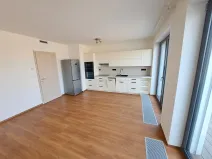 Prodej bytu 2+kk, Brno, Opuštěná, 62 m2