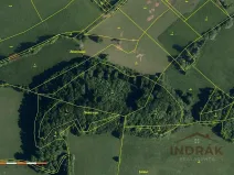 Prodej lesa, Nový Jičín, Na Samotě, 13092 m2