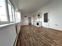 Pronájem bytu 2+kk, Brno, Renneská třída, 48 m2