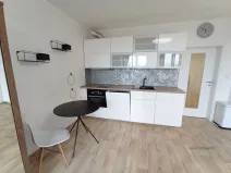Pronájem bytu 1+kk, Plzeň - Jižní Předměstí, Rybářská, 49 m2