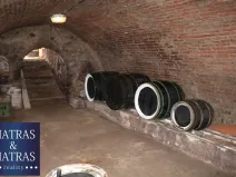 Prodej vinného sklepa, Pavlov, Rudolfa Gajdoše, 100 m2