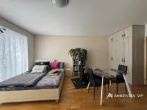 Pronájem bytu 1+kk, Brno, Božetěchova, 52 m2
