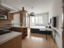 Pronájem bytu 1+kk, Brno, V Újezdech, 30 m2