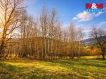 Prodej louky, Mikulůvka, 4458 m2